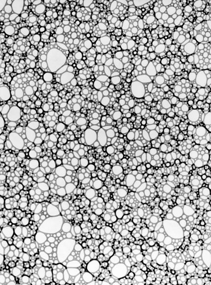 Double exposure of soap bubbles