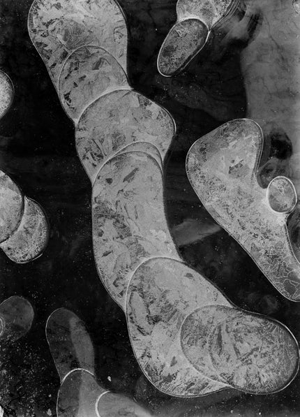 Air bubbles in the ice