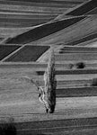 Landschaft bei Nassereith