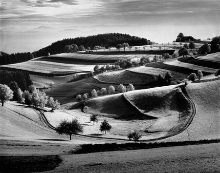 Landschaft bei Gersbach/Lörrach
