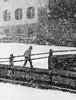 Schneefall
