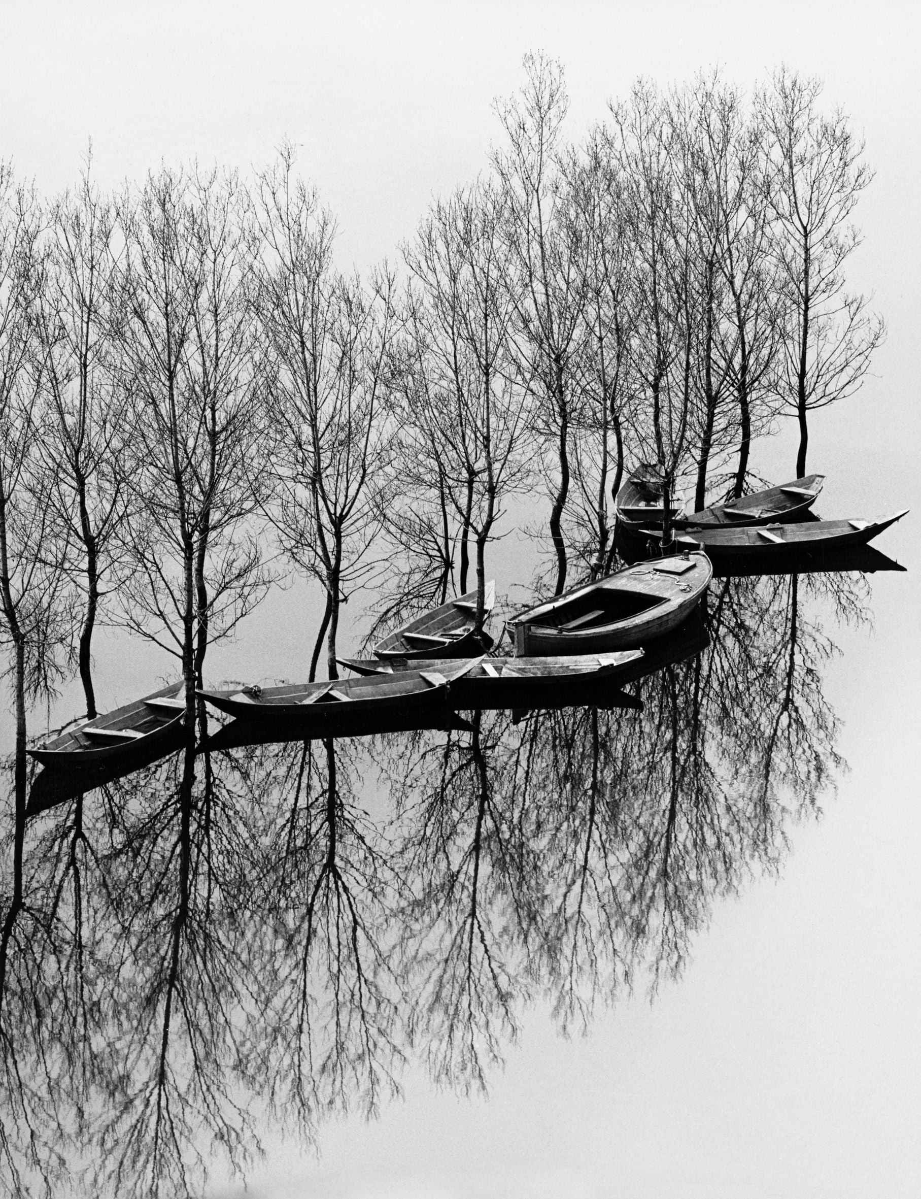 Flooding at Lake Skadar