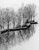 Flooding at Lake Skadar