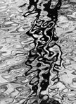 Reflexion im Wasser