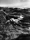 Am Saltstraumen bei Bodø