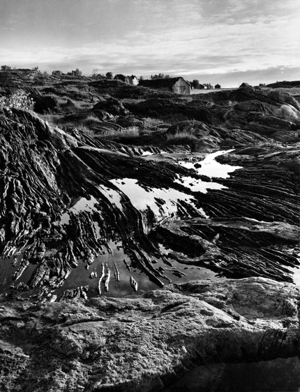 Am Saltstraumen bei Bodø