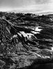 Am Saltstraumen bei Bodø