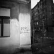 Ohne Titel