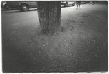 Ohne Titel