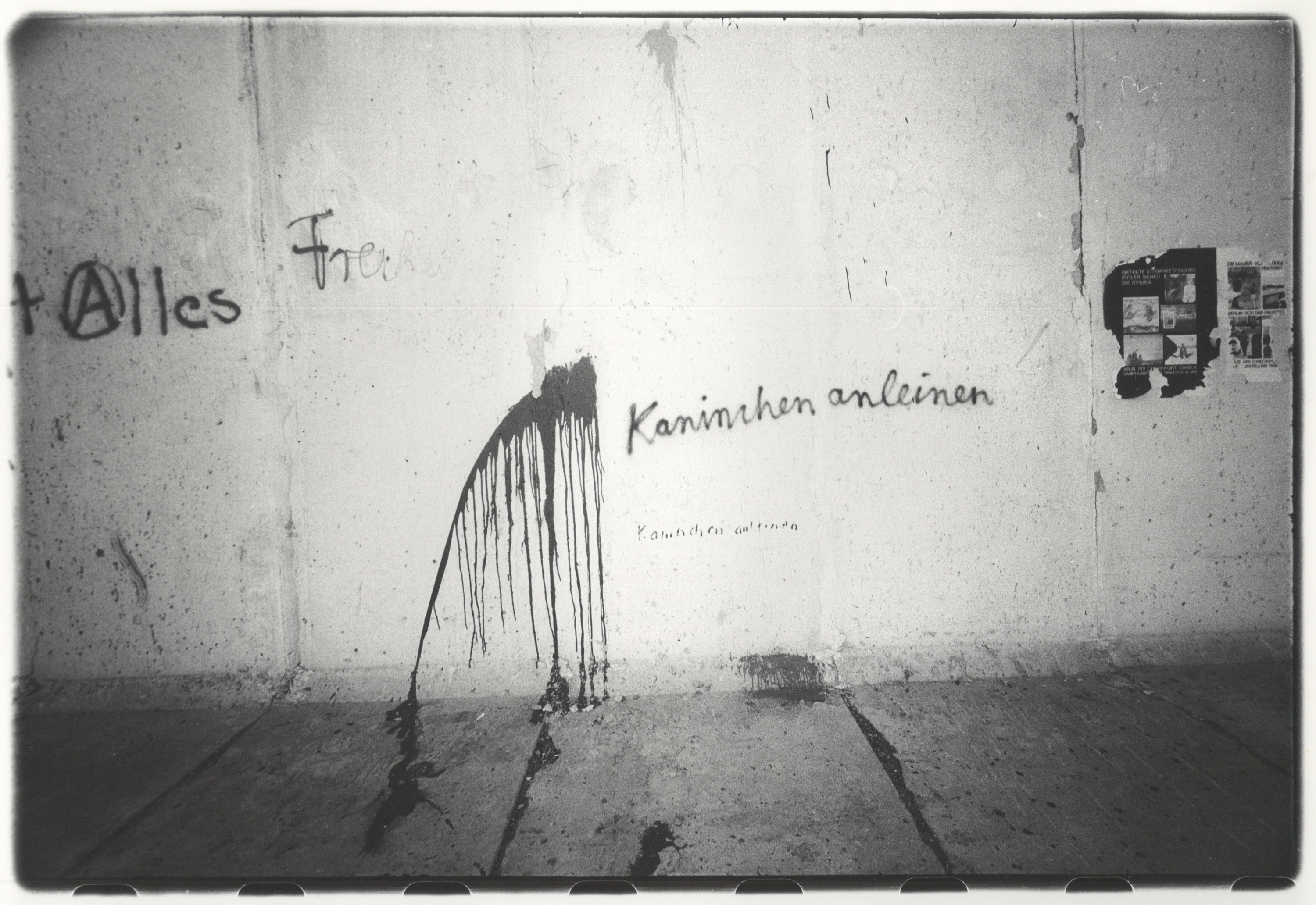 Graffiti 