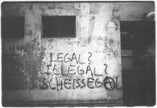 Graffiti 