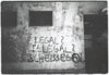 Graffiti 