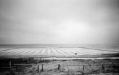 Ohne Titel