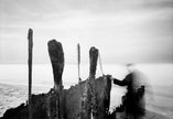 Ohne Titel