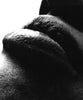 Ohne Titel