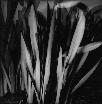 Ohne Titel