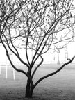 Ohne Titel
