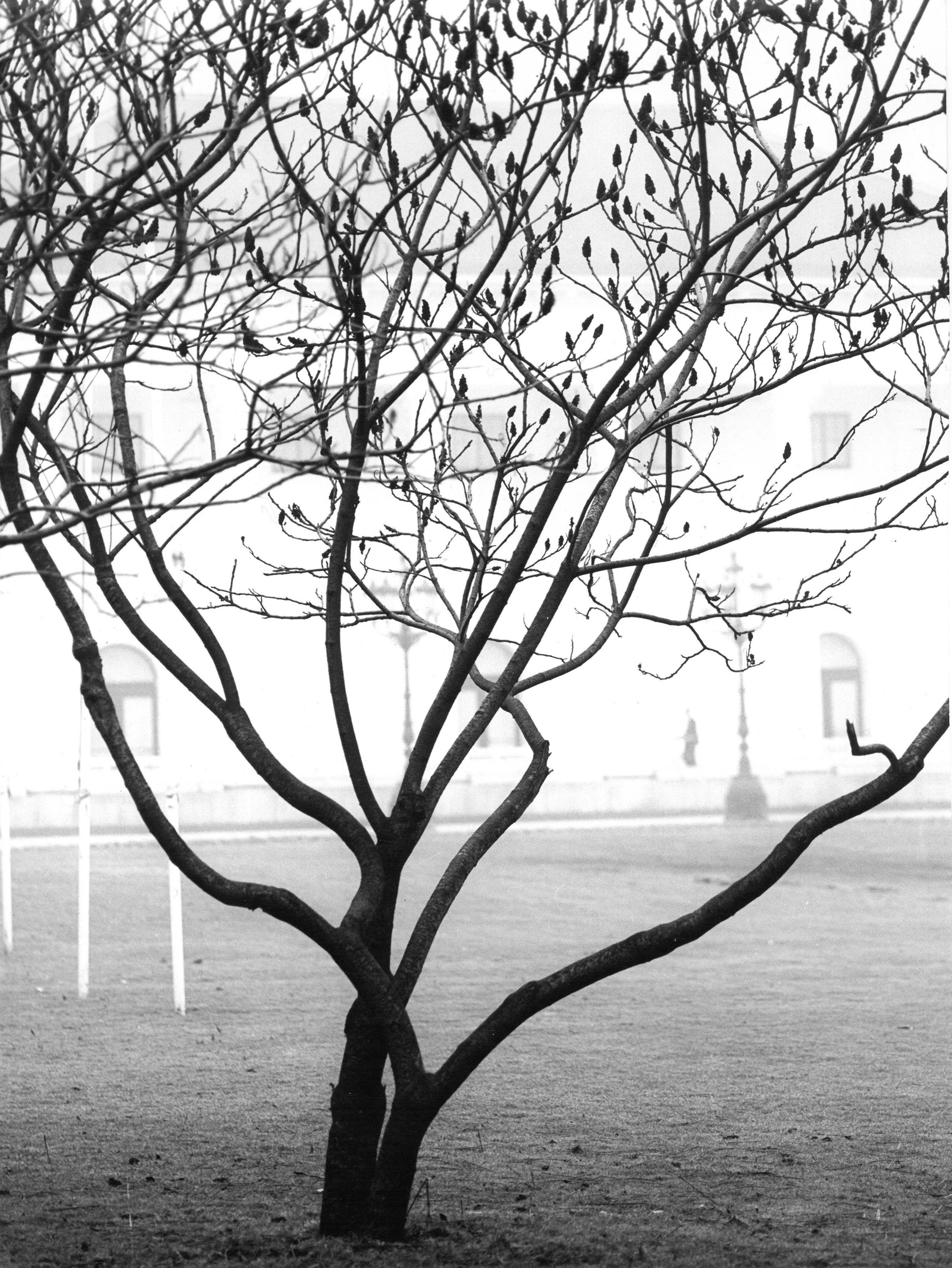 Ohne Titel