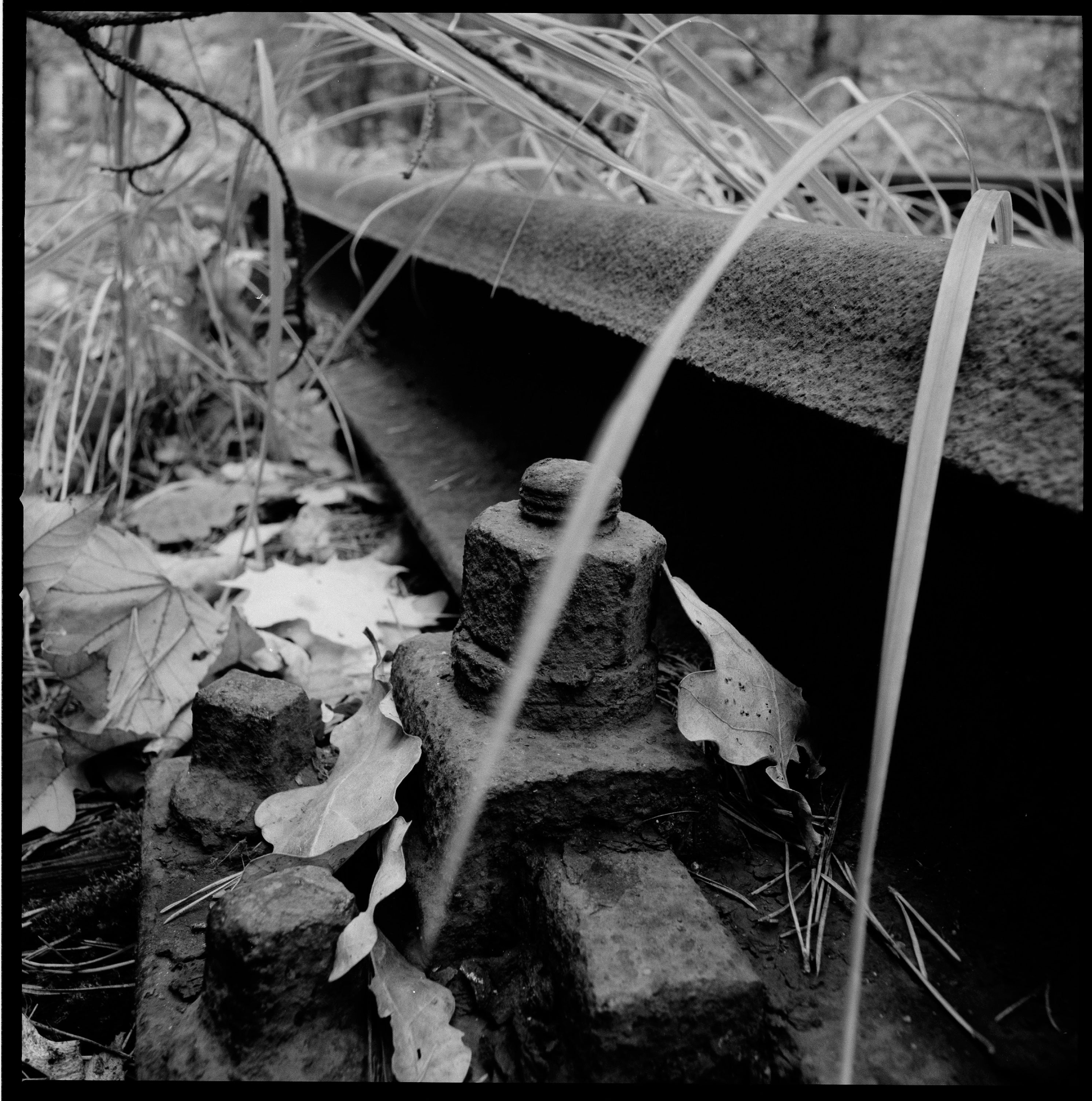 Ohne Titel