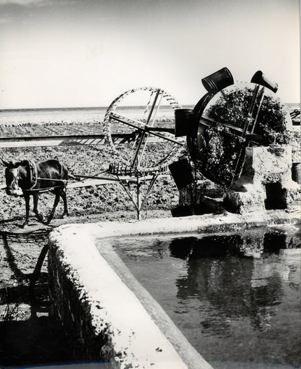 Bewässerungsanlage in Apulien