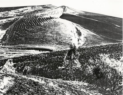 Im Inneren von Sizilien