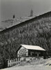 Blick zum Mont Ventoux
