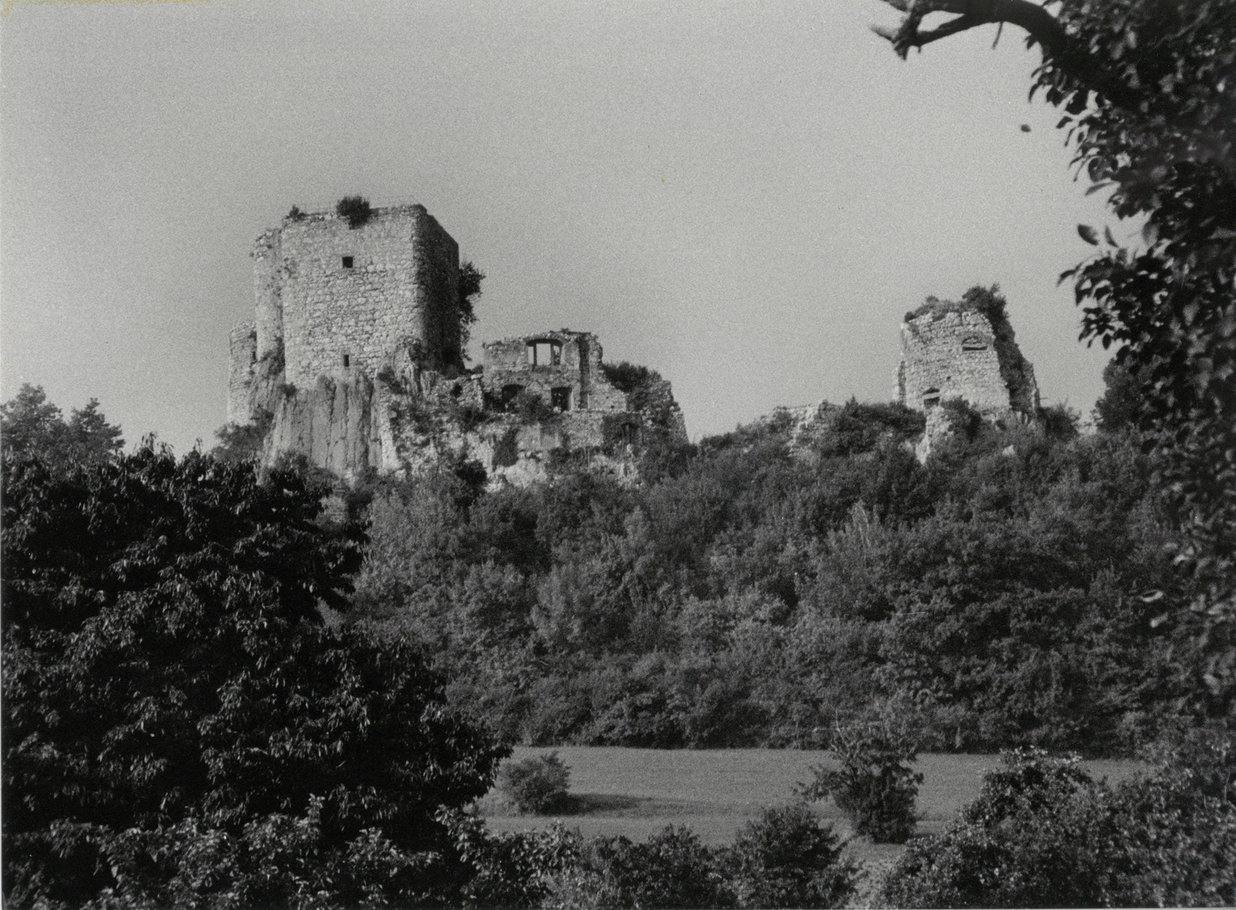 Die Burgruine Landskron