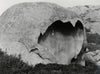 Riesenhohlstein südlich von Calvi an der Straße zur Kapelle Madonna della Serra