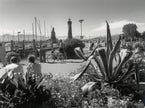 Sommerliches Hafenbild in Lindau