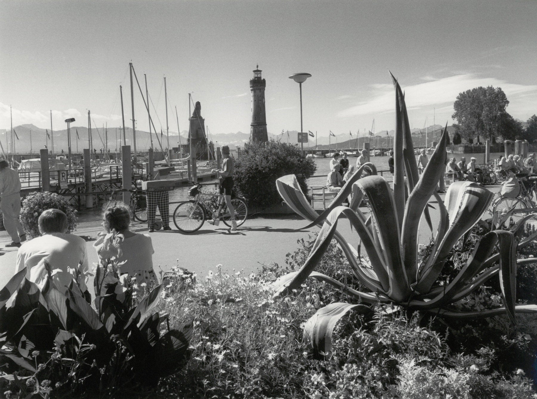 Sommerliches Hafenbild in Lindau