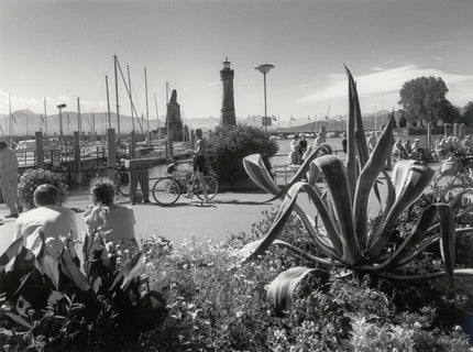 Sommerliches Hafenbild in Lindau
