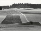 Landschaft bei Göffingen