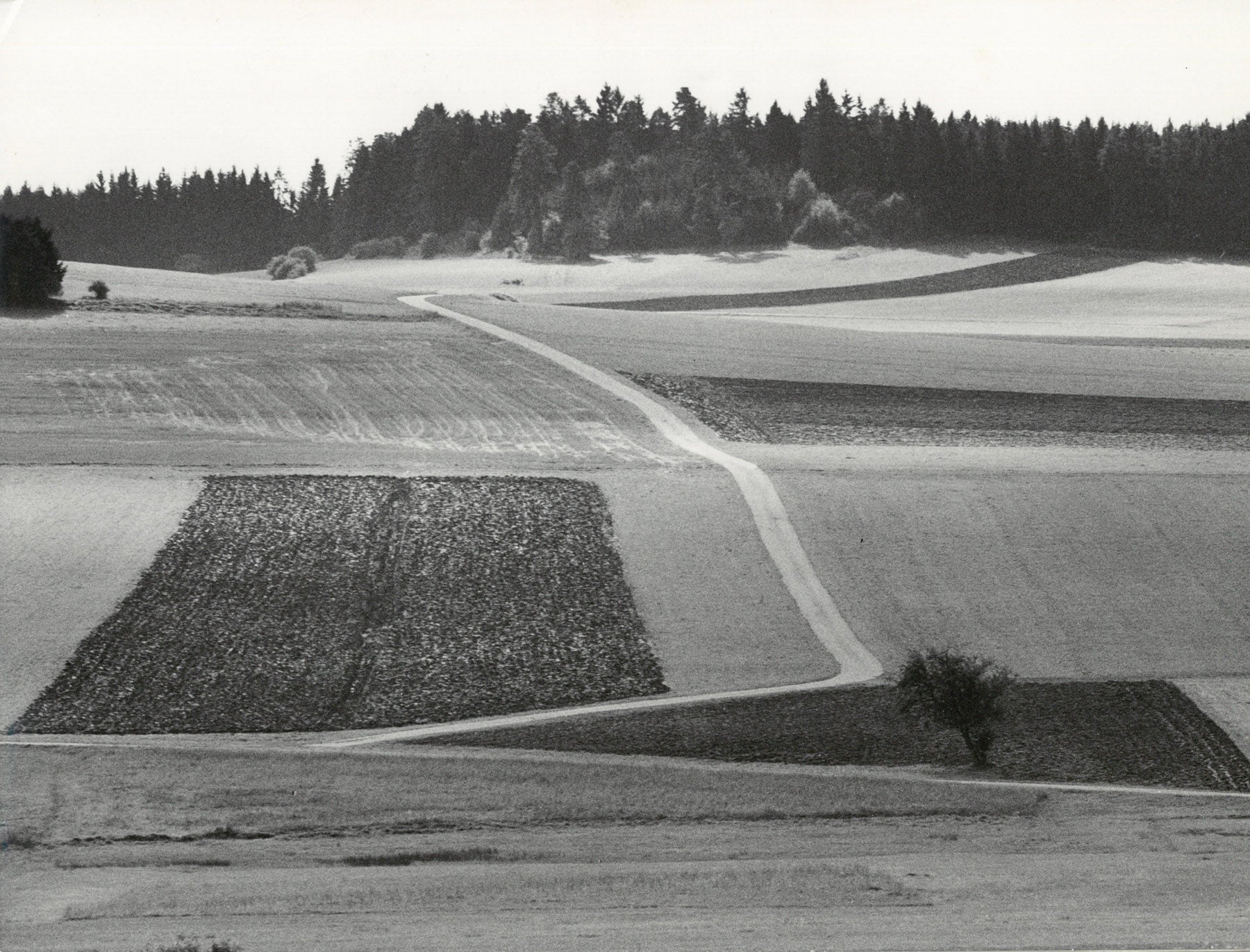 Landschaft bei Göffingen