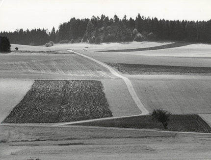 Landschaft bei Göffingen