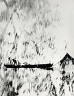 Bodenseefischer, grafisch, experimentell