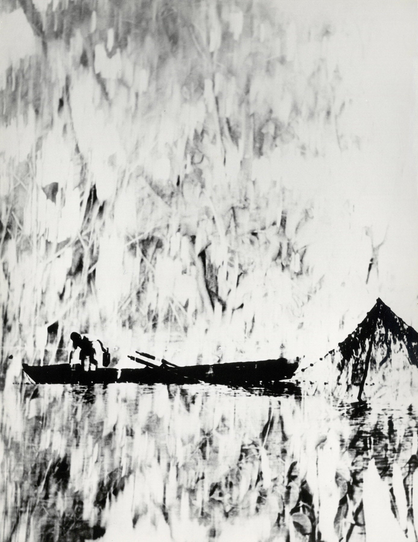 Bodenseefischer, grafisch, experimentell