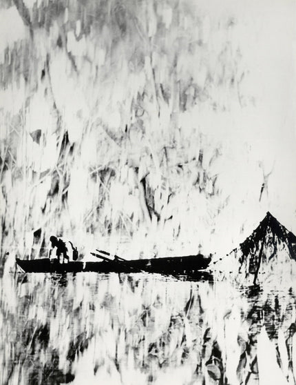 Bodenseefischer, grafisch, experimentell