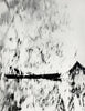 Bodenseefischer, grafisch, experimentell