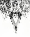 Graphic versions, tree detail doubled