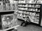 Kinderbücher