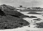 Ebbe an der Küste bei Trégastel