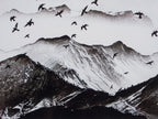 Blick zur Silvretta