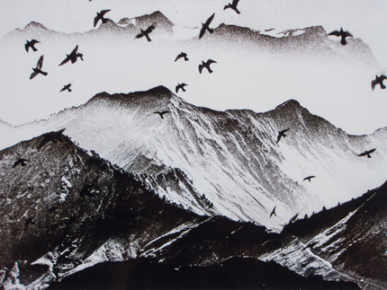 Blick zur Silvretta