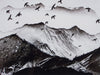 Blick zur Silvretta