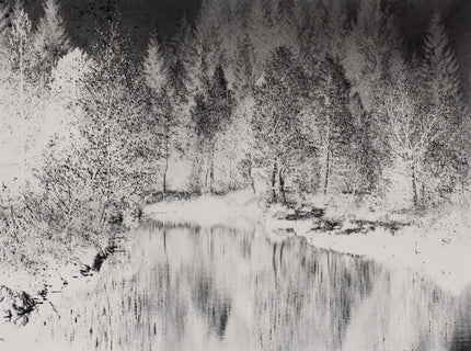 Hochmoor bei Sulzburg