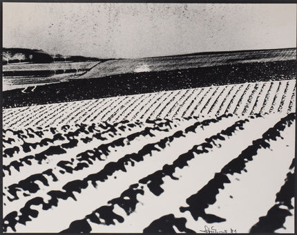 Ackerlandschaft in Oberschwaben