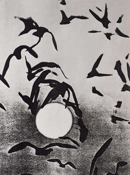 Fliegende Möwen (Sonne)