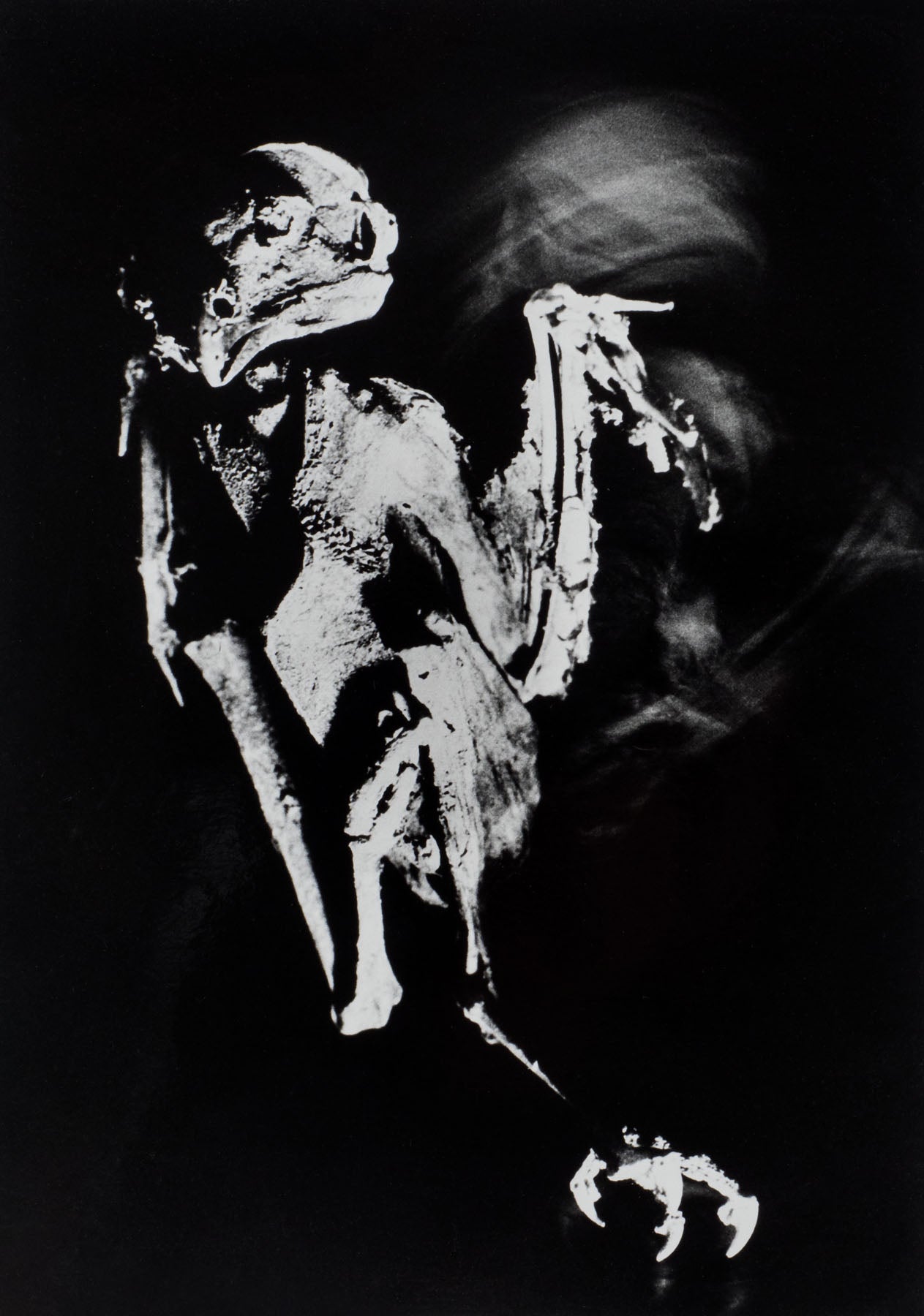 Totentanz Nummer 8