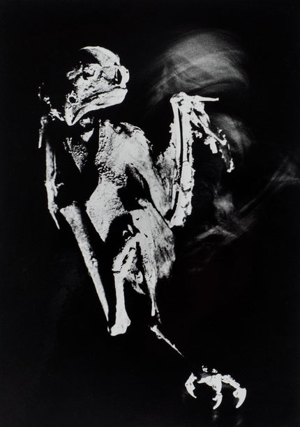 Totentanz Nummer 8