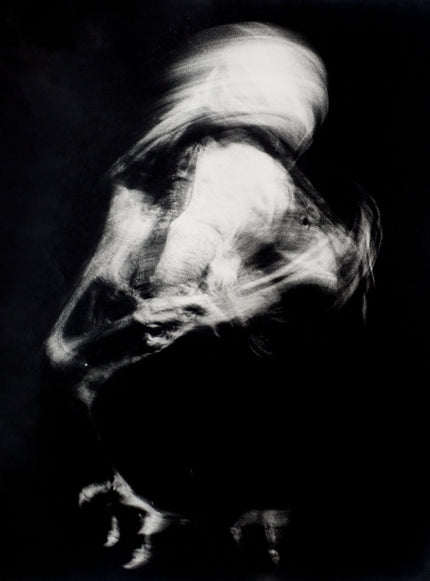 Totentanz
